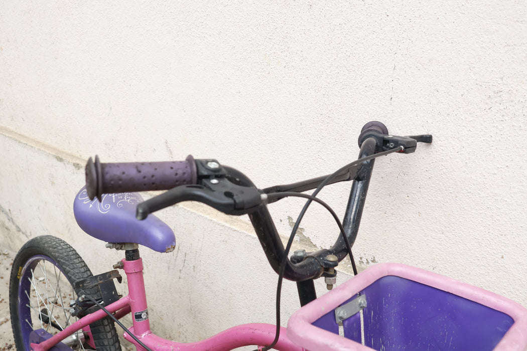 Bsa disney princess cycle hot sale 20