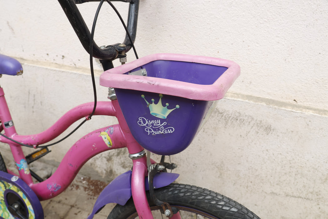 BSA DISNEY PRINCESS