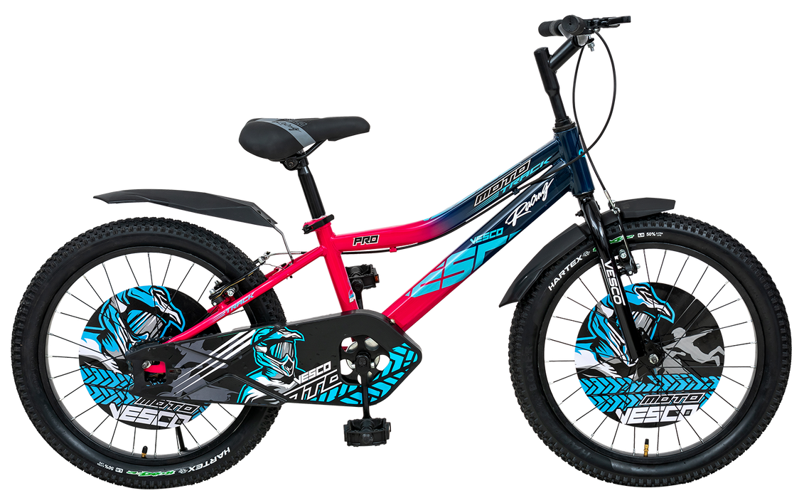 Vesco cycles store 20 inches